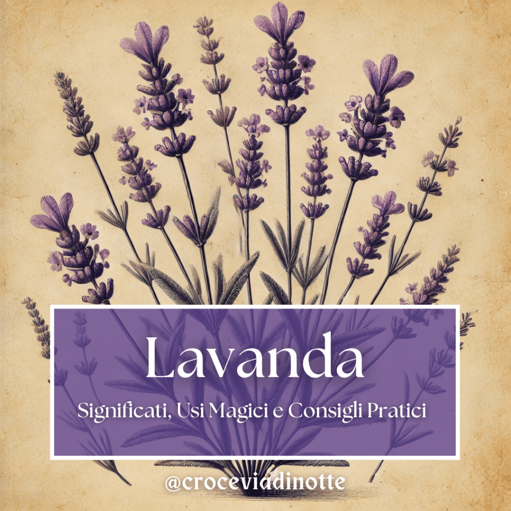 Lavanda usi magici